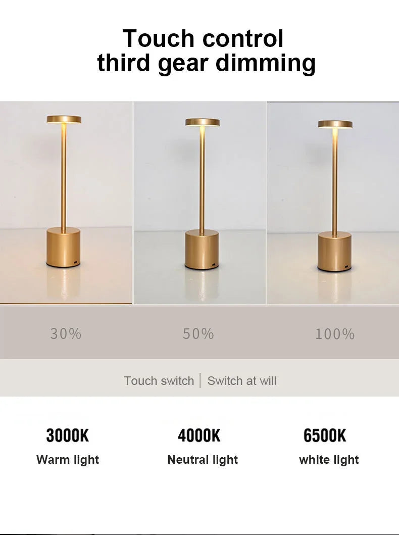 Simple LED Rechargeable Touch Metal Table Lamp Three Colors