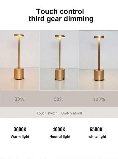 Simple LED Rechargeable Touch Metal Table Lamp Three Colors