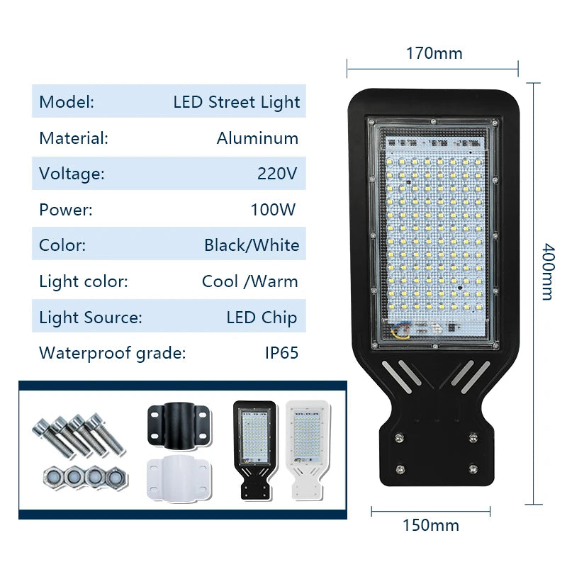 100W LED Street Light 110V 220V High Quality Outdoor Garden