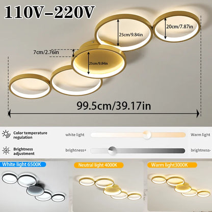 LED Ceiling Light 110v 220v 3 Colors Dimming Modern Lamp