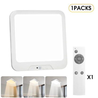 Rechargeable Ceiling Light with Remote Lights Motion