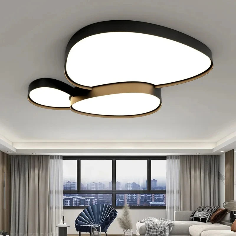 Remote Control Light Modern Simple LED Ceiling Lamp