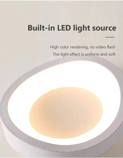 Nordic LED Ceiling Lamp For Living Dining Room Bedroom