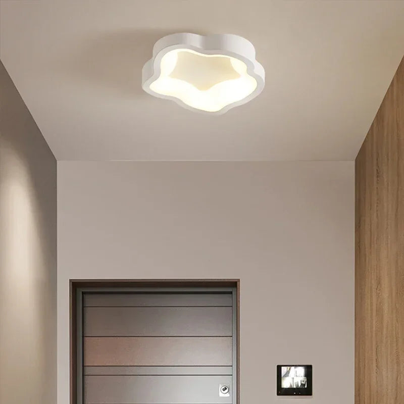 Minimalist LED Ceiling Light Cloakroom Indoor Lighting