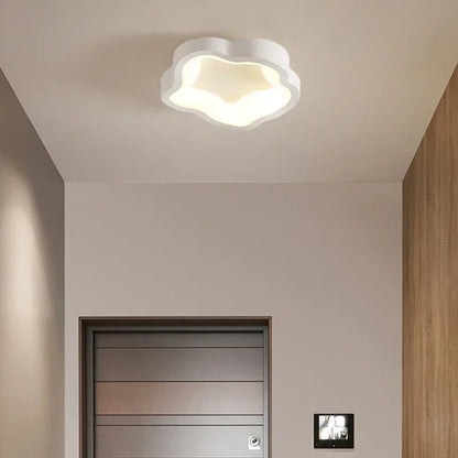 Minimalist LED Ceiling Light Cloakroom Indoor Lighting