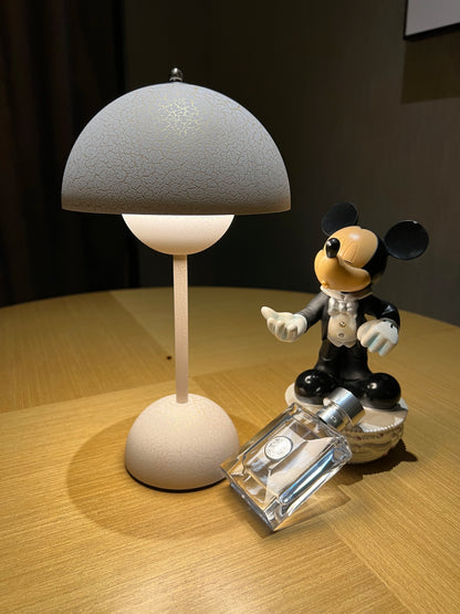 Rechargeable Mood LED Table Lights Bedside Table Lamp