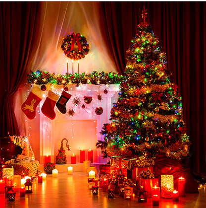 Christmas Outdoor Garden LED String Light 24V Xmas Tree Fairy Lights