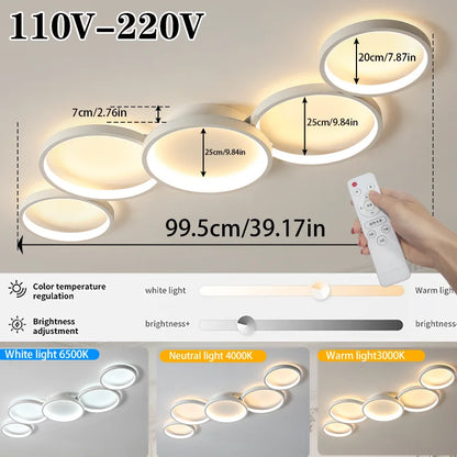 LED Ceiling Light 110v 220v 3 Colors Dimming Modern Lamp