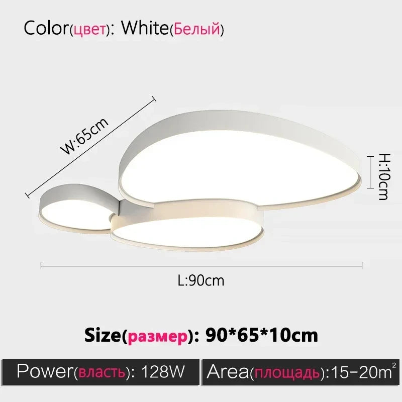Remote Control Light Modern Simple LED Ceiling Lamp