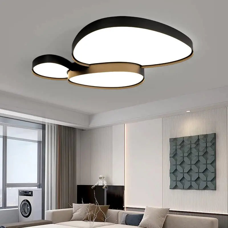 Remote Control Light Modern Simple LED Ceiling Lamp