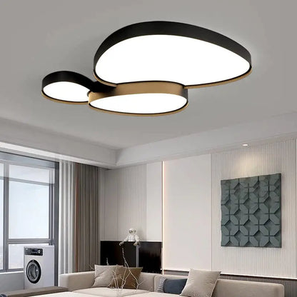 Remote Control Light Modern Simple LED Ceiling Lamp