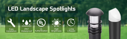 Low Voltage 12V 3W Outdoor Landscape Lighting System