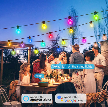 Smart WIFI LED Bulb String Light Fairy Lights