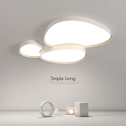 Remote Control Light Modern Simple LED Ceiling Lamp