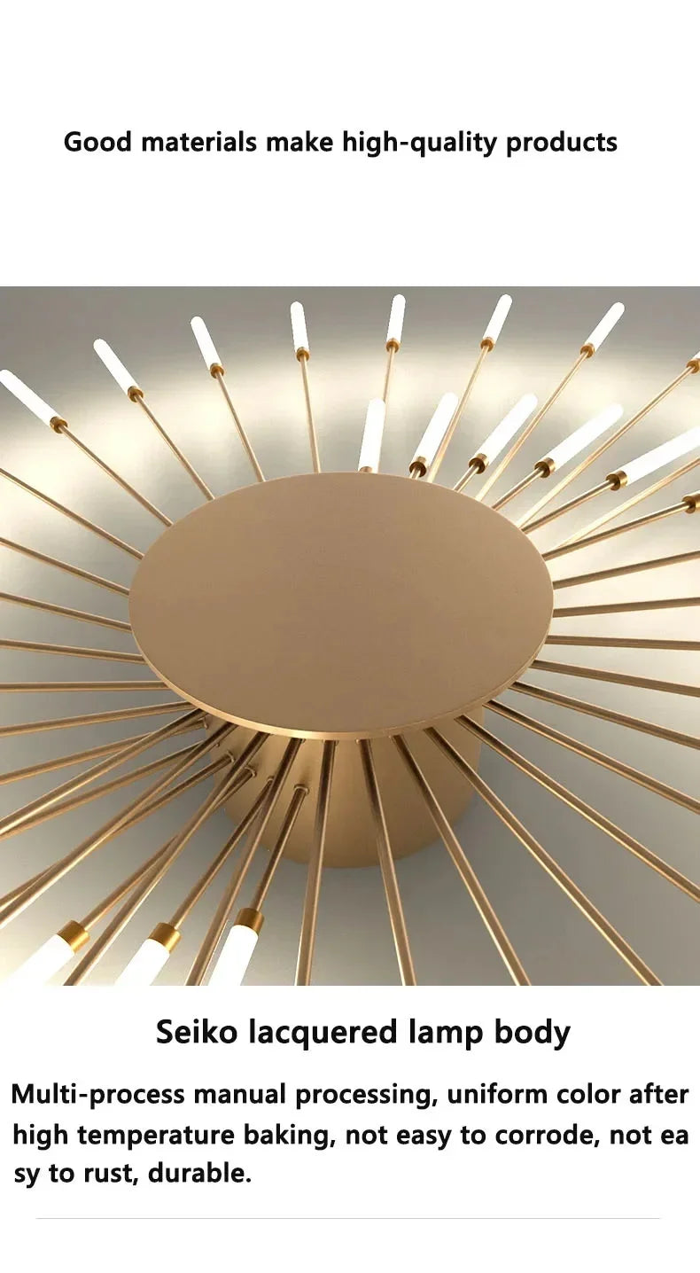 Living Room Light LED Ceiling Lamp Modern Indoor Lighting