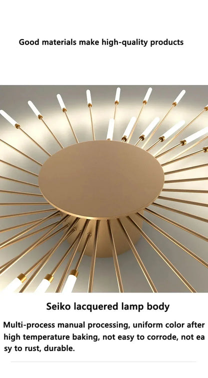 Living Room Light LED Ceiling Lamp Modern Indoor Lighting