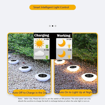 Outdoor Solar Pathway Lights IP65 Rated LED Landscape Lighting