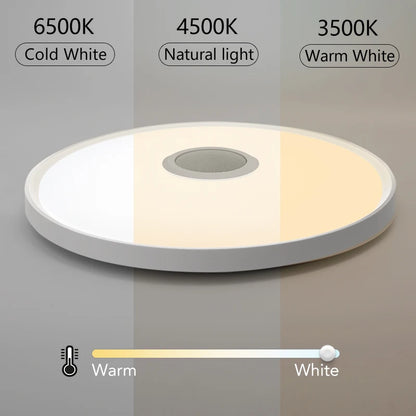 LED Smart Ceiling Lamps RGB APP Remote Control Home Lighting