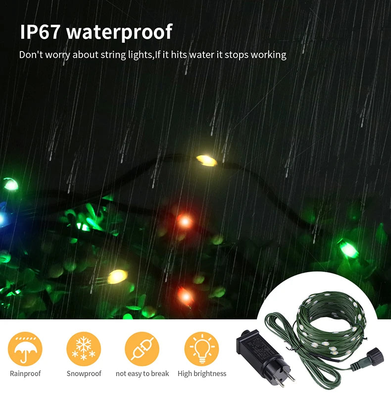 24V LED Christmas lights Green Wire Leather Fairy Lights String
