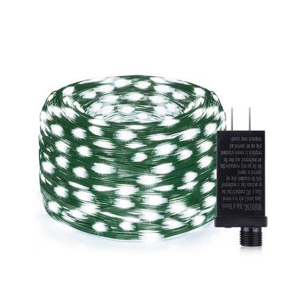 24V LED Christmas lights Green Wire Leather Fairy Lights String
