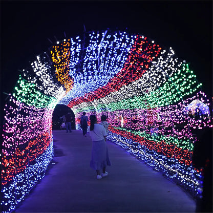 Christmas Lights 5M 10M 20M 30M 50M 100M Led String
