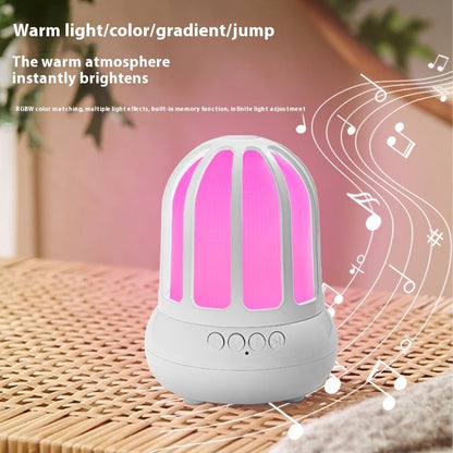 Creative Charging Bluetooth Audio Bird Cage Small Night Lamp