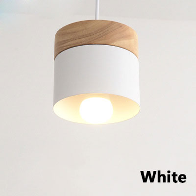 Pendant light Modern Hanging Lights