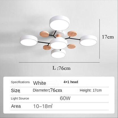 Nordic style living room ceiling chandelier LED light lamp aisle