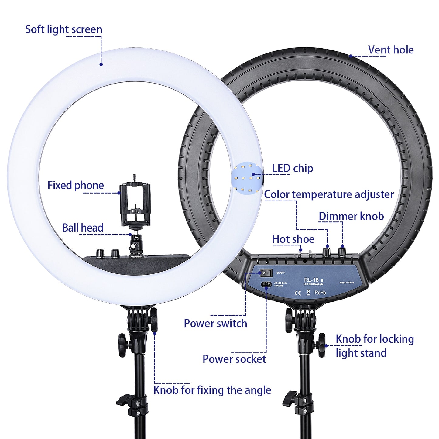 Ringlight Photography Lamp With Tripod