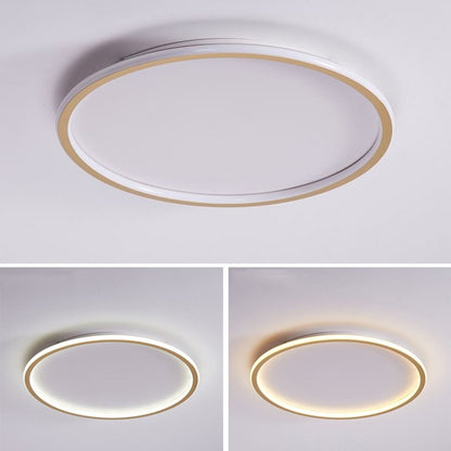 Light Luxury Modern Black/Gold LED Ceiling Lamp