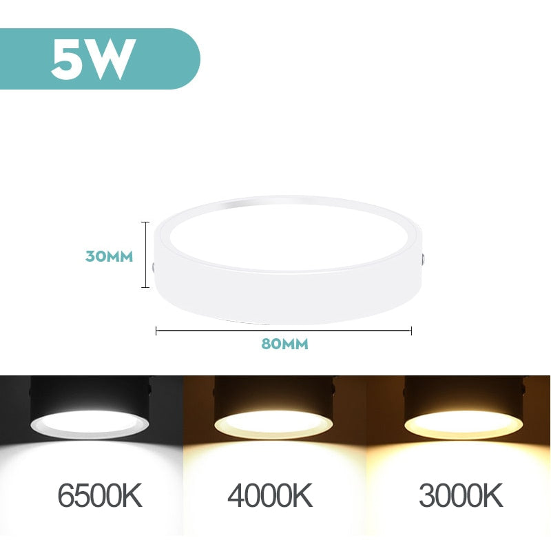 Mini LED Ceiling Lamp Led Ceiling