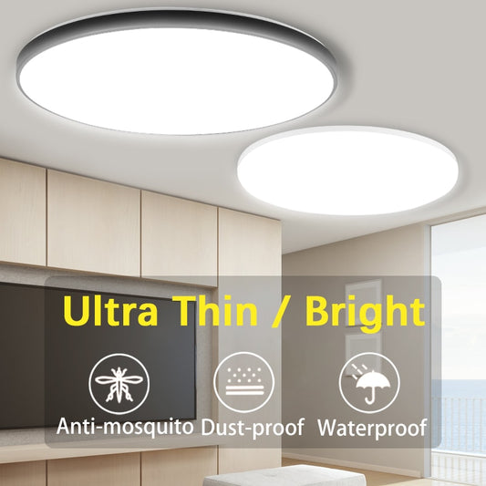 20 inch Large Modern Ceiling Lights Nordic Indoor Lighting Home