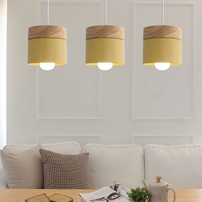 Pendant light Modern Hanging Lights