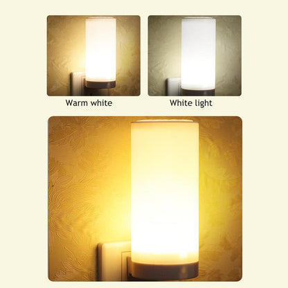 Plug Brightness Adjustable LED Night Light