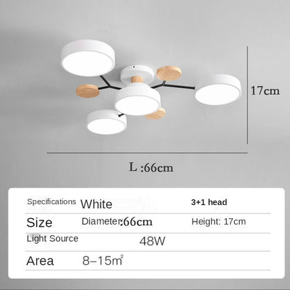 Nordic style living room ceiling chandelier LED light lamp aisle