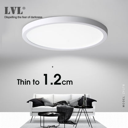 Modern Surface Ceiling Lamp