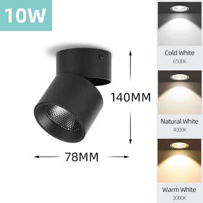 Mini Small LED Ceiling Lamp