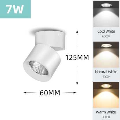 Mini Small LED Ceiling Lamp