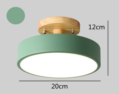 LED Ceiling Lights Modern Chandelier Ceiling lamps