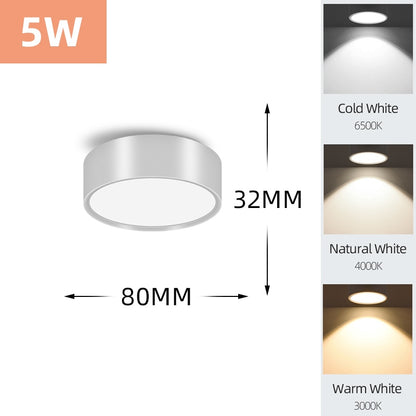 Mini Small LED Ceiling Lamp