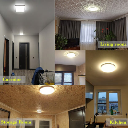 LED Panel Lamp Natural Ceiling Light