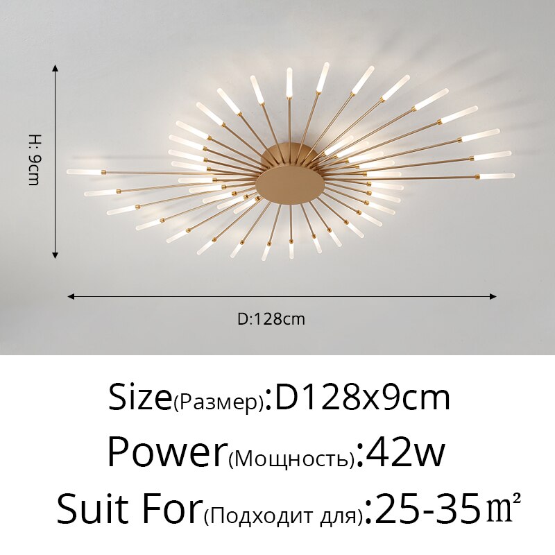 Modern Ceiling Acrylic Lamps Fixture Frame