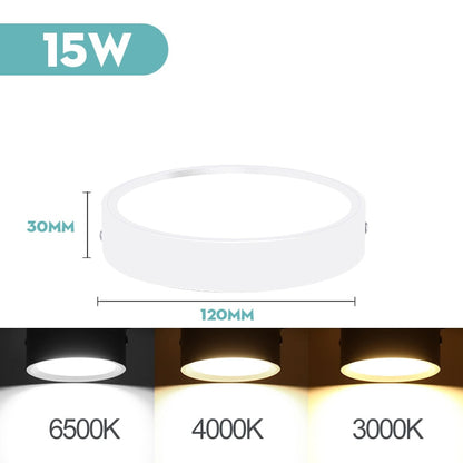 Mini LED Ceiling Lamp Led Ceiling