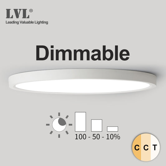 LED Ceiling Light Dimmable Ceiling Lamp