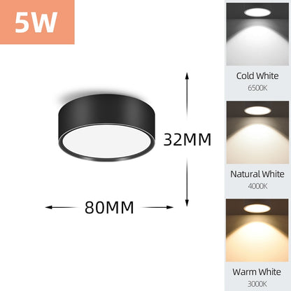 Mini Small LED Ceiling Lamp