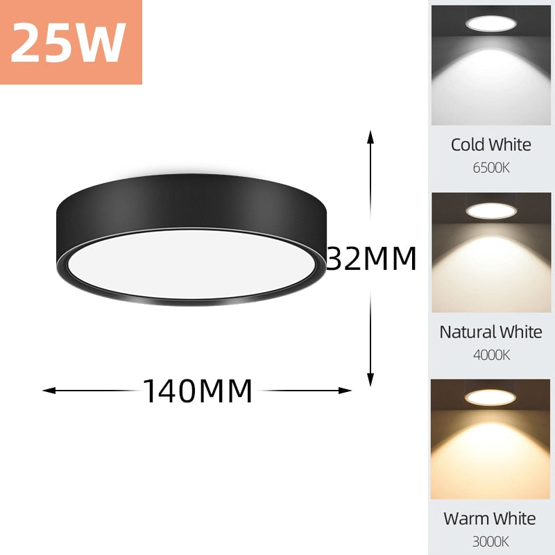 Mini Small LED Ceiling Lamp