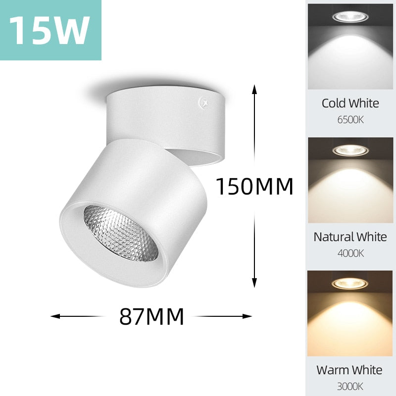 Mini Small LED Ceiling Lamp