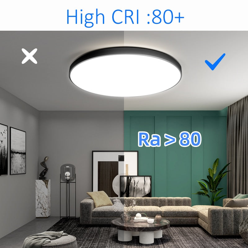 20 inch Large Modern Ceiling Lights Nordic Indoor Lighting Home