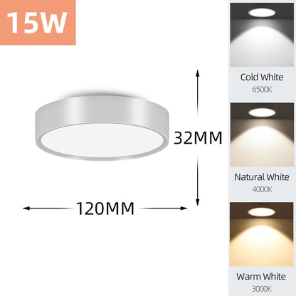 Mini Small LED Ceiling Lamp