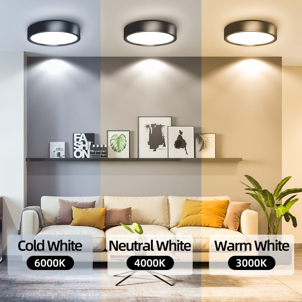 Mini LED Ceiling Lamp Led Ceiling